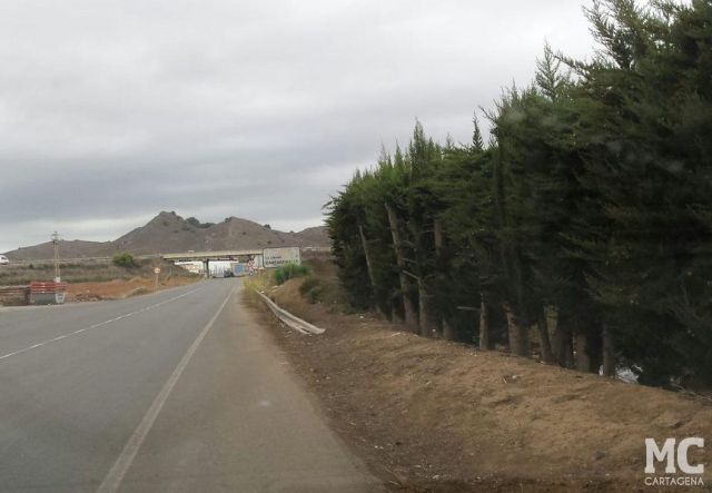 MC Cartagena reclamará al Gobierno local mejoras en la accesibilidad al cementerio Nuestra Señora de Los Llanos de El Algar - 3, Foto 3