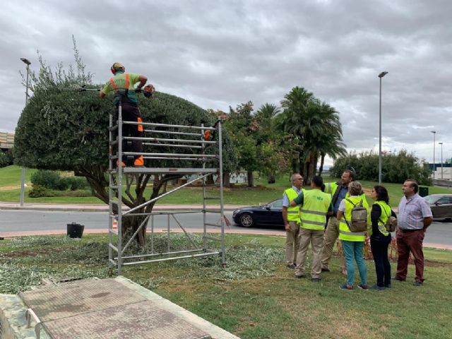 El Ayuntamiento embellece más de 300 especies arbóreas con formas artísticas - 1, Foto 1