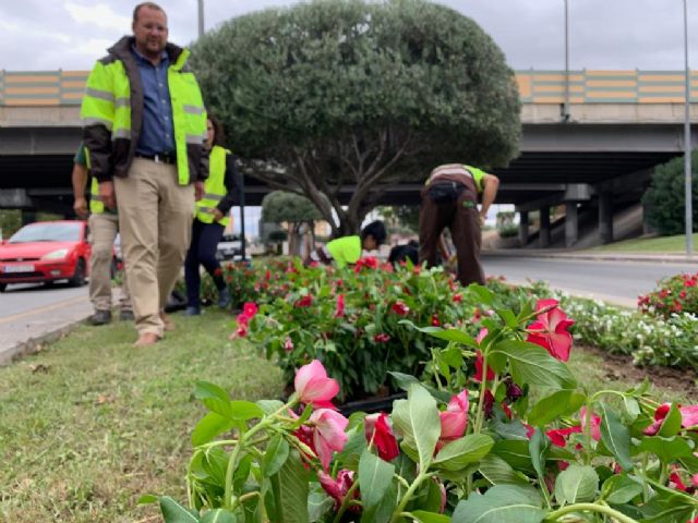 El Ayuntamiento embellece más de 300 especies arbóreas con formas artísticas - 2, Foto 2