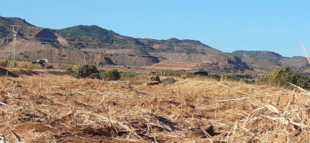 La Confederación Hidrográfica del Segura ha iniciado en agosto las labores de mantenimiento y conservación en los cauces del municipio de Cartagena - 2, Foto 2