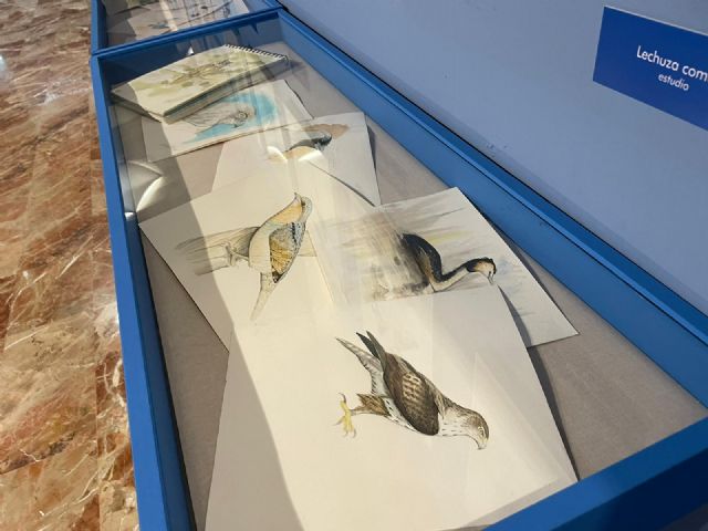 El Museo de la Ciencia dedica una exposición a las aves más emblemáticas del municipio - 2, Foto 2