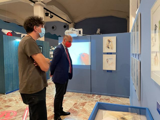El Museo de la Ciencia dedica una exposición a las aves más emblemáticas del municipio - 3, Foto 3