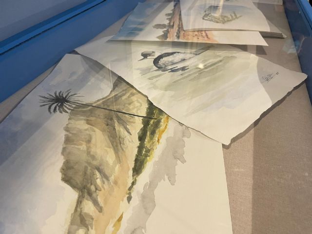 El Museo de la Ciencia dedica una exposición a las aves más emblemáticas del municipio - 4, Foto 4