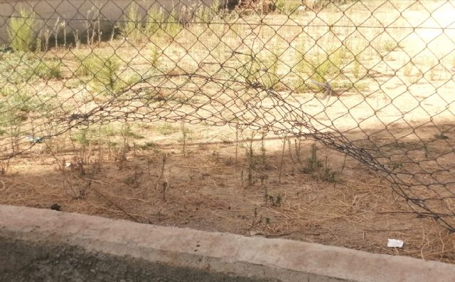 Las instalaciones deportivas en barrios y pedanías en permanente estado de abandono - 3, Foto 3