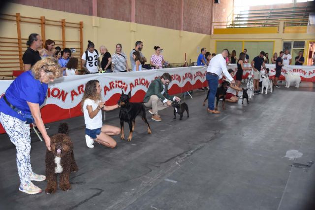 XV Concurso Nacional Canino de Calasparra - 2, Foto 2