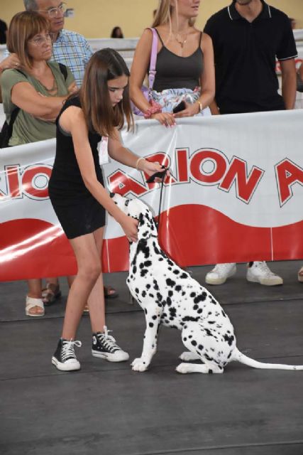 XV Concurso Nacional Canino de Calasparra - 4, Foto 4