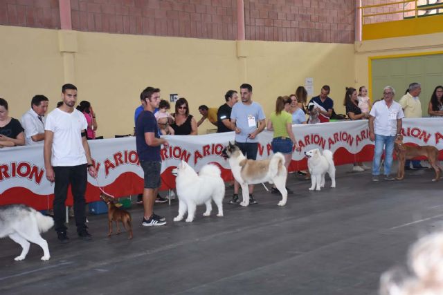 XV Concurso Nacional Canino de Calasparra - 5, Foto 5