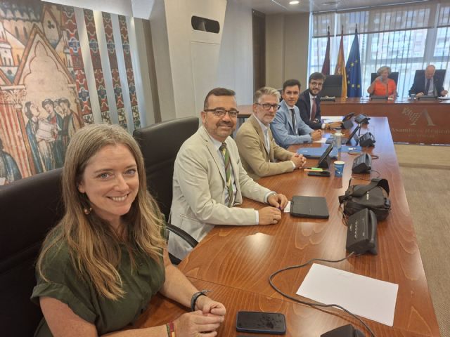 El PP asegura que López Miras resuelve con diálogo y consenso el desorden del Decreto Ábalos y garantiza la convivencia entre Taxi y VTC - 1, Foto 1