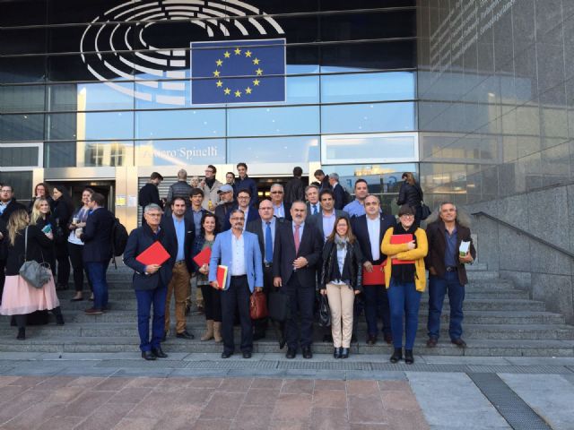 Tovar: Quizá el presidente regional viene a Bruselas a ver cómo puede eximir de responsabilidades a Valcárcel sobre el Mar Menor - 2, Foto 2