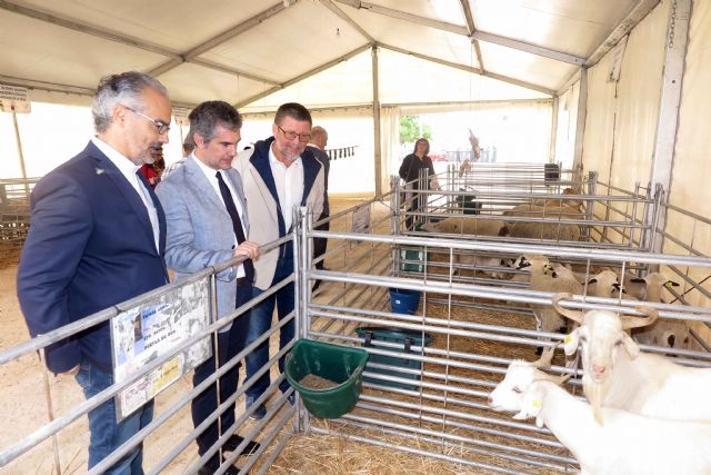 La tercera edición de la Feria del Ovino Segureño y de la Ganadería Extensiva de Caravaca arranca con las visitas de escolares - 4, Foto 4
