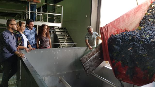 La DO Jumilla estima alcanzar esta campaña 70 millones de kilos de producción de uva de gran calidad - 2, Foto 2