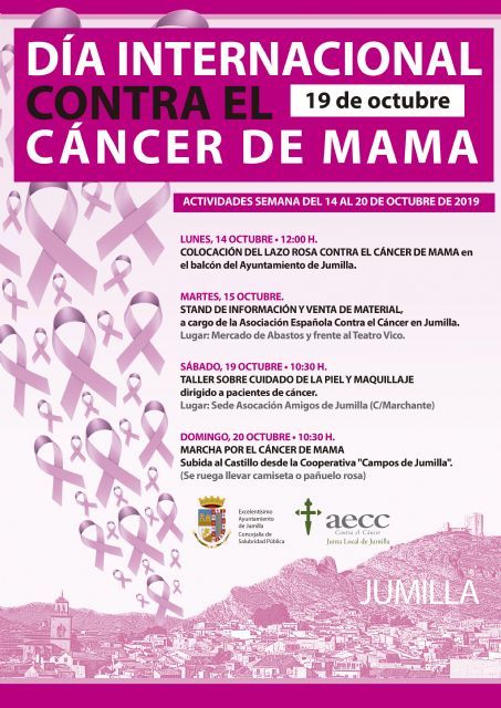 Salubridad y AECC presentan las actividades por el Día contra el Cáncer de Mama - 1, Foto 1