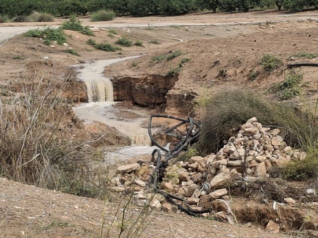 El SAIH de la CHS envió cuatro avisos hidrológicos extremos durante la DANA Alice en la demarcación del Segura - 2, Foto 2
