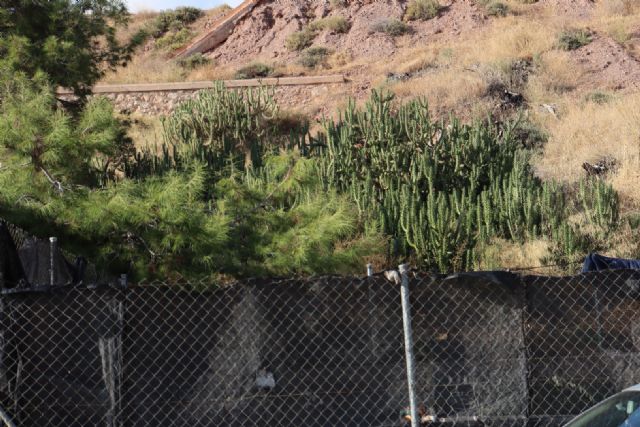 El Parque Trinidad Segura, fruto del esfuerzo vecinal, está hoy abandonado por el PP - 2, Foto 2