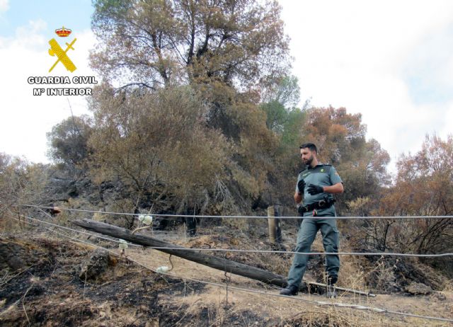 La Guardia Civil esclarece el incendio que calcinó aproximadamente 150 hectáreas de masa forestal del Parque Regional de El Valle y Carrascoy - 3, Foto 3