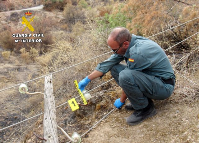 La Guardia Civil esclarece el incendio que calcinó aproximadamente 150 hectáreas de masa forestal del Parque Regional de El Valle y Carrascoy - 4, Foto 4