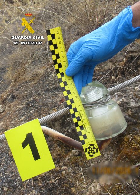 La Guardia Civil esclarece el incendio que calcinó aproximadamente 150 hectáreas de masa forestal del Parque Regional de El Valle y Carrascoy - 5, Foto 5