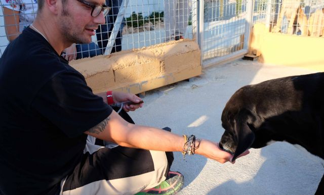 La Fundación Jesús Abandonado inicia un programa que busca mejorar la calidad de vida de personas sin hogar y animales maltratados - 1, Foto 1