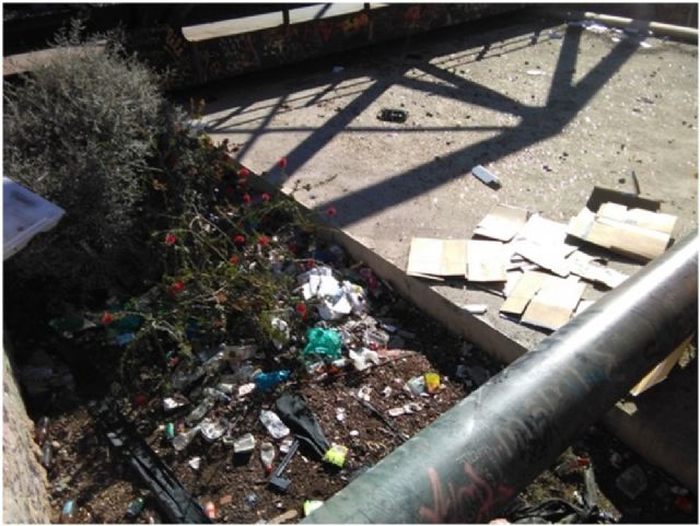 El PSOE reclama al PP que incremente la frecuencia de la limpieza municipal en los barrios periféricos de Lorca - 1, Foto 1