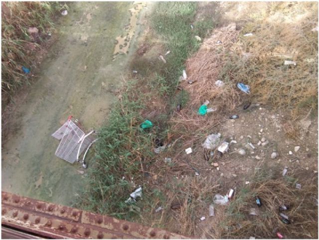 El PSOE reclama al PP que incremente la frecuencia de la limpieza municipal en los barrios periféricos de Lorca - 3, Foto 3