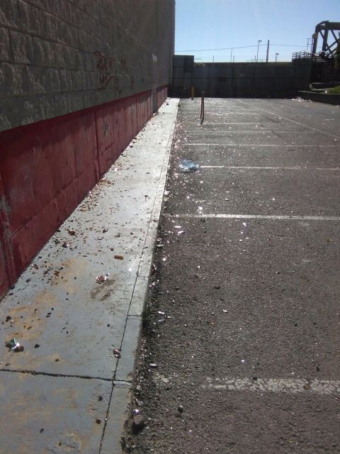 El PSOE reclama al PP que incremente la frecuencia de la limpieza municipal en los barrios periféricos de Lorca - 5, Foto 5