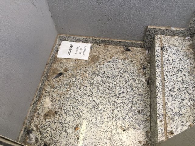 El concejal del Deportes miente al afirmar que las deficiencias del Artés Carrasco están subsanadas - 2, Foto 2