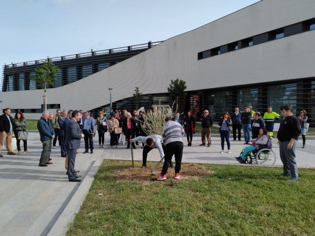 La plantación de más de 10.000 árboles convertirá Alcantarilla en un bosque urbano - 3, Foto 3