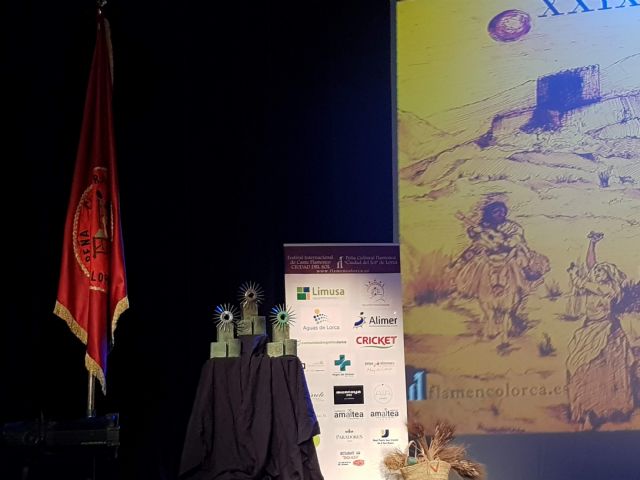 Final de la XXIX Edición del Festival Internacional de Cante Flamenco Ciudad del Sol de Lorca - 2, Foto 2