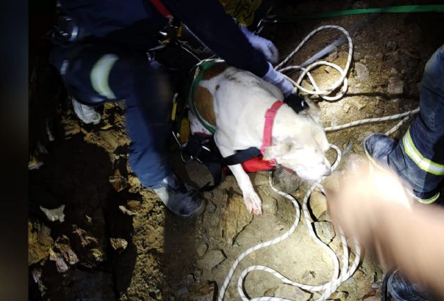 Rescatado un perro del pozo al que se había caído en el interior de una mina en el Llano del Beal - 1, Foto 1
