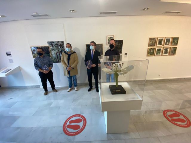 El Reactivo Cultural ´Donde crecen los Mirtos´ centra la programación del Museo de la Ciudad del mes de noviembre - 2, Foto 2