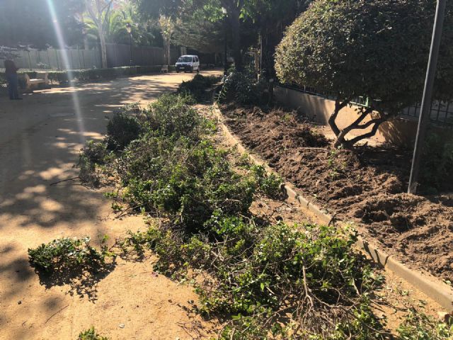 Las Concejalías de Parques y Jardines y de Empleo llevan a cabo labores de mantenimiento de las zonas verdes de Las Alamedas a través de los participantes de los Consejos Comarcales - 1, Foto 1
