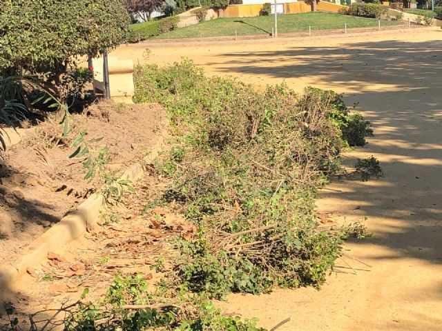 Las Concejalías de Parques y Jardines y de Empleo llevan a cabo labores de mantenimiento de las zonas verdes de Las Alamedas a través de los participantes de los Consejos Comarcales - 2, Foto 2