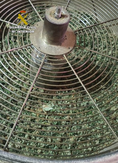 La Guardia Civil desmantela en una finca de Águilas un cultivo ilícito de marihuana - 1, Foto 1