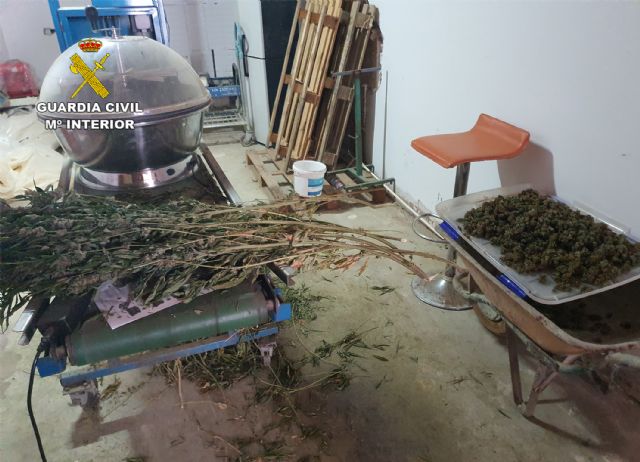 La Guardia Civil desmantela en una finca de Águilas un cultivo ilícito de marihuana - 4, Foto 4