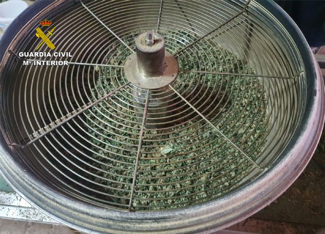 La Guardia Civil desmantela en una finca de Águilas un cultivo ilícito de marihuana - 5, Foto 5