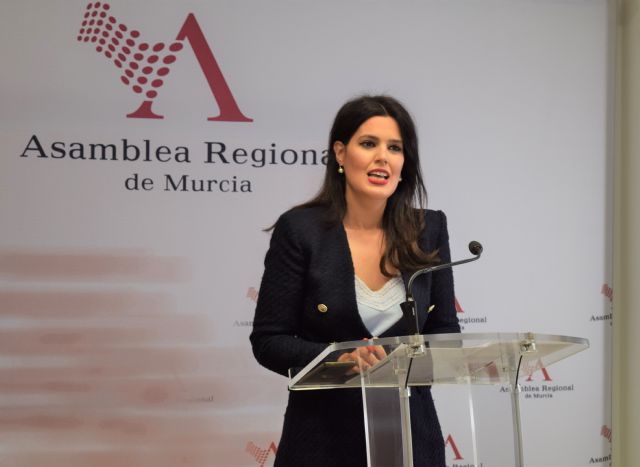 El PP destaca que el 100% de los comparecientes en la Asamblea han hecho una valoración positiva de la Ley de Mecenazgo - 1, Foto 1