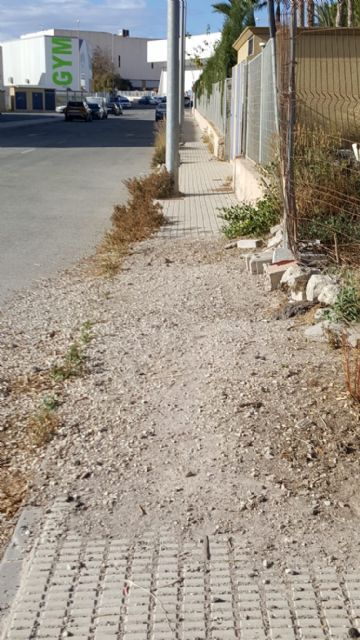 El sector secundario de Lorca, la gestión de los polígonos industriales y la ausencia de centros tecnológicos públicos en Lorca, objetivos de IU al próximo Pleno - 4, Foto 4