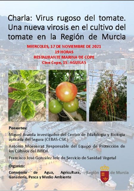 Águilas acogerá una charla sobre la nueva virosis rugosa del tomate - 1, Foto 1