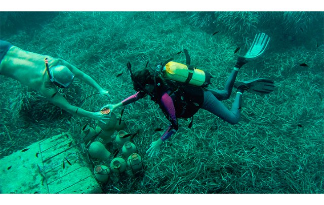 Gin Mare & Salmon Guru presentan Ultramare: cócteles en las profundidades del Mediterráneo - 1, Foto 1