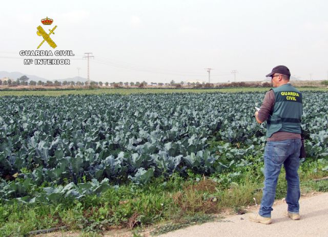 La Guardia Civil investiga en Fuente Álamo al gerente de una explotación agrícola por delito contra el derecho de los trabajadores - 1, Foto 1