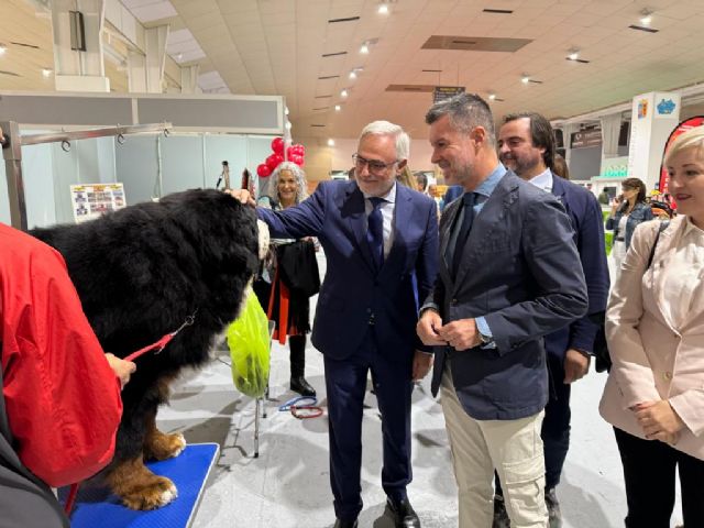 La Exposición Canina más visitada de España abre sus puertas en IFEPA, este fin de semana - 2, Foto 2