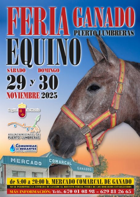 La nueva edición de la Feria del Ganado Equino de Puerto Lumbreras se celebrará el 29 y 30 de noviembre en el Mercado Comarcal de Ganado - 1, Foto 1