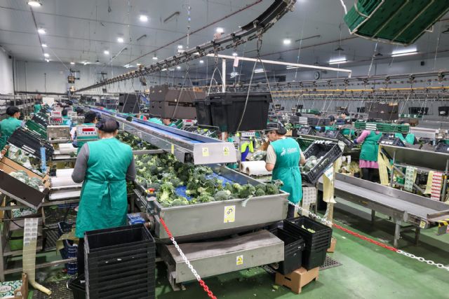 Cooperativas y empresas agrícolas lorquinas se suman a los encuentros de la Consejería de Educación: queremos que conozcan el Procedimiento de Acreditación de Competencias Profesionales - 2, Foto 2