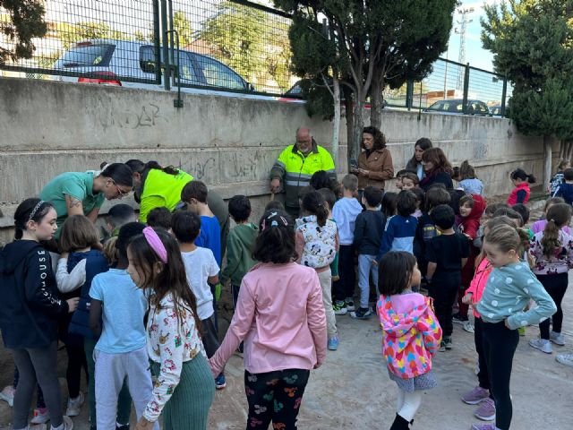 El Plan Foresta contribuye a que el CEIP Virgen de Guadalupe estrene nuevo arbolado - 3, Foto 3