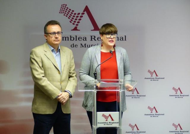 El PSOE denuncia la utilización de la Consejería de Transparencia y Participación como plataforma para las elecciones municipales - 1, Foto 1