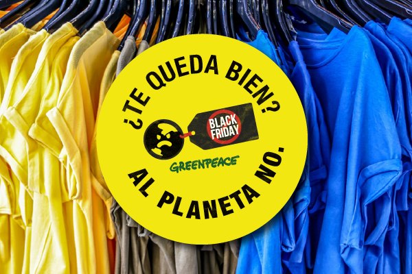 Jornadas sobre alternativas al actual modelo de consumo - 1, Foto 1