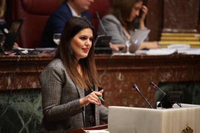 El PP promueve desde la Asamblea la implantación de un modelo de formación universitaria dual - 1, Foto 1