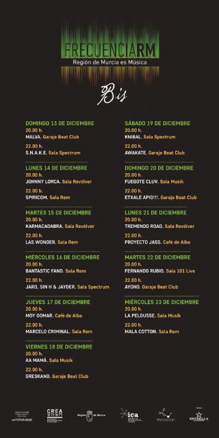 Comienza ´FrecuenciaRM Bis´ del Plan CREA con los conciertos de Malva y S.N.A.K.E - 1, Foto 1