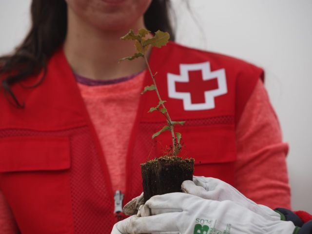 Cruz Roja siembra el futuro: el cuidado del medio ambiente, clave para el empleo verde y la repoblación - 2, Foto 2