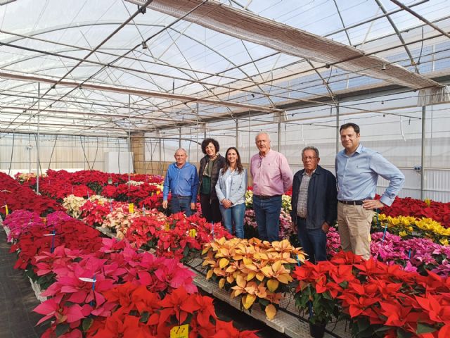 La consejera de Agricultura y la alcaldesa visitan el vivero de la empresa lumbrerense Barberet&Blanc y animan a los ciudadanos a comprar flores de pascua durante las fiestas de Navidad - 2, Foto 2